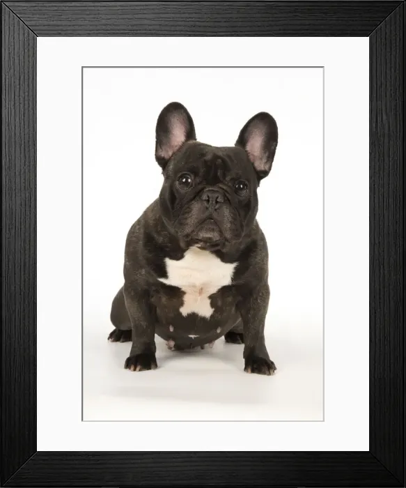 Framed Print : Picture No. 12009451 Framed Print : Picture No. 12009451