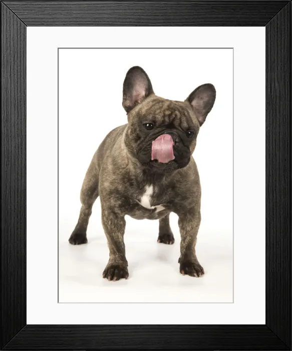 Framed Print : Picture No. 12009453 Framed Print : Picture No. 12009453