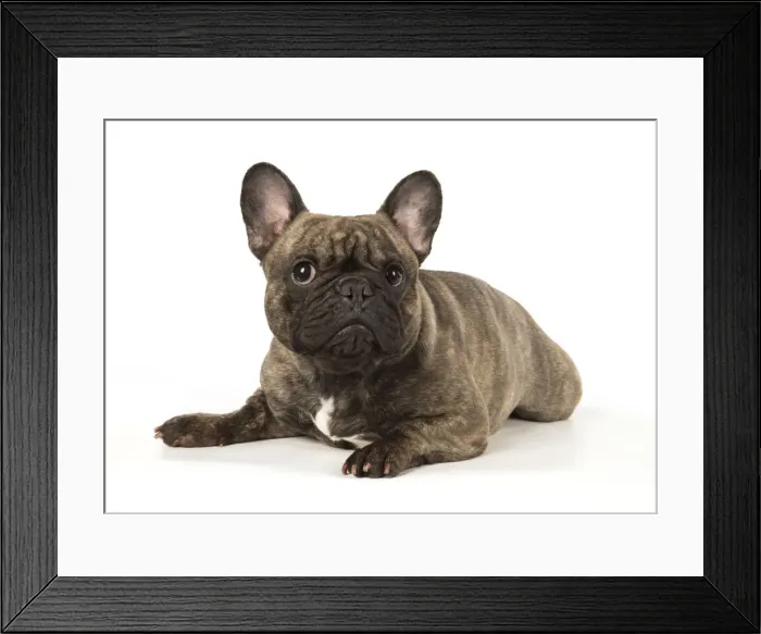 Framed Print : Picture No. 12009454 Framed Print : Picture No. 12009454