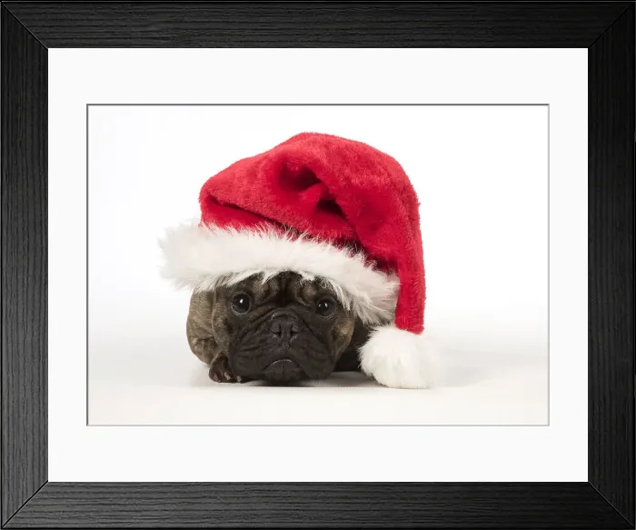 Framed Print : Picture No. 12009455 Framed Print : Picture No. 12009455