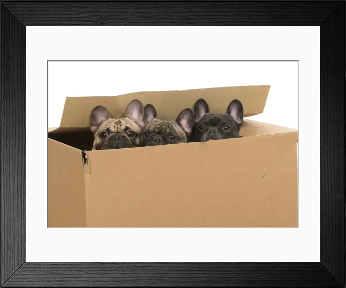 Framed Print : Picture No. 12009457 Framed Print : Picture No. 12009457