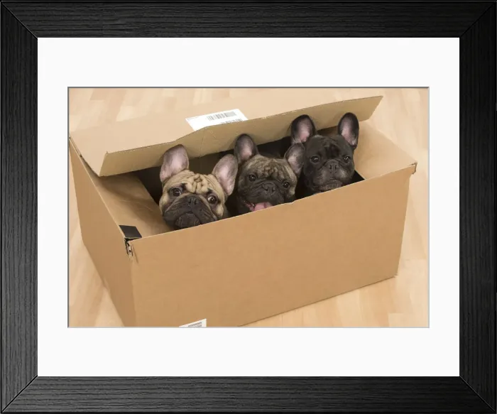 Framed Print : Picture No. 12009458 Framed Print : Picture No. 12009458