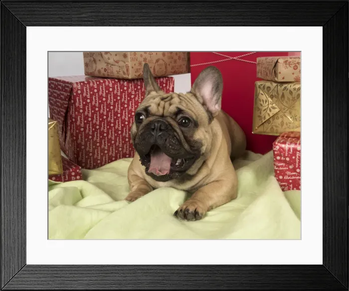 Framed Print : Picture No. 12009461 Framed Print : Picture No. 12009461