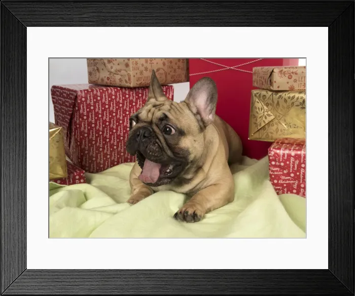 Framed Print : Picture No. 12009462 Framed Print : Picture No. 12009462