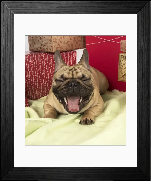 Framed Print : Picture No. 12009463 Framed Print : Picture No. 12009463
