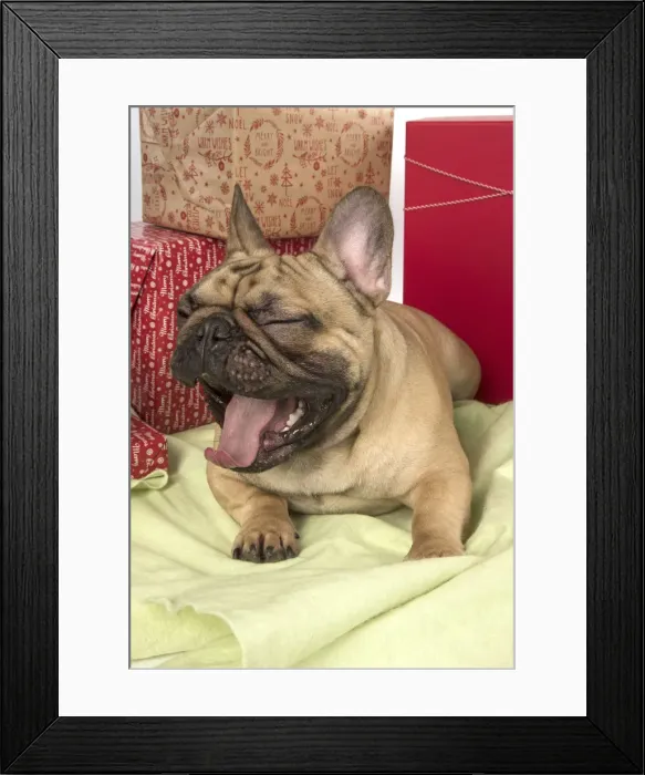 Framed Print : Picture No. 12009464 Framed Print : Picture No. 12009464
