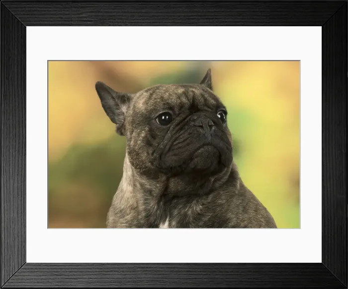 Framed Print : Picture No. 12009470 Framed Print : Picture No. 12009470