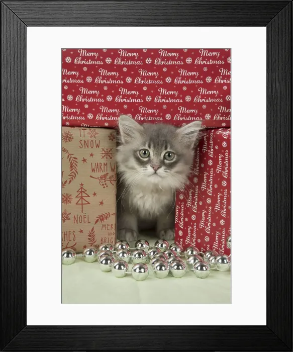 Framed Print : Picture No. 12009487 Framed Print : Picture No. 12009487