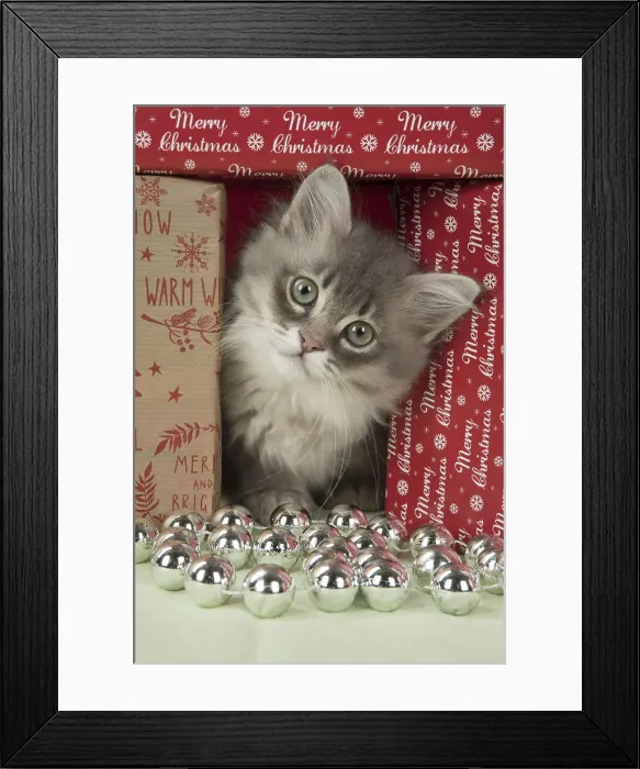 Framed Print : Picture No. 12009490 Framed Print : Picture No. 12009490