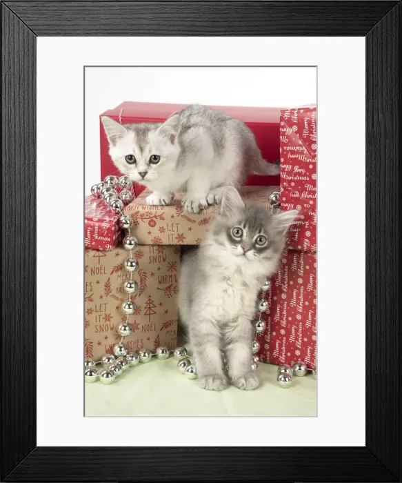 Framed Print : Picture No. 12009491 Framed Print : Picture No. 12009491