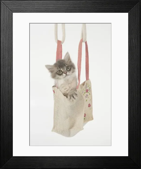 Framed Print : Picture No. 12009497 Framed Print : Picture No. 12009497