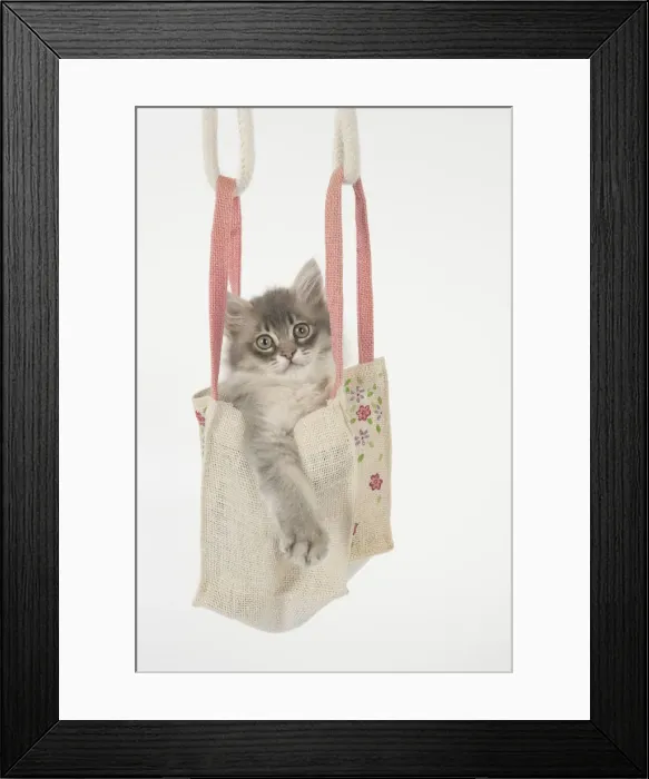 Framed Print : Picture No. 12009498 Framed Print : Picture No. 12009498