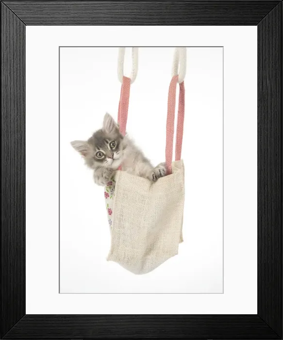 Framed Print : Picture No. 12009499 Framed Print : Picture No. 12009499