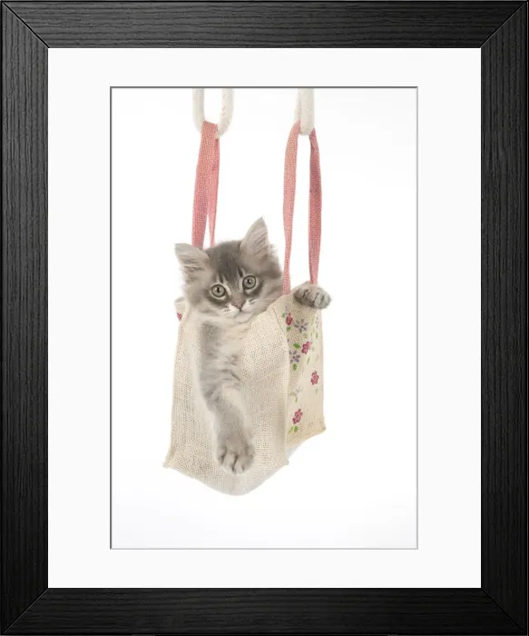Framed Print : Picture No. 12009500 Framed Print : Picture No. 12009500