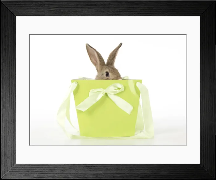 Framed Print : Picture No. 12009504 Framed Print : Picture No. 12009504