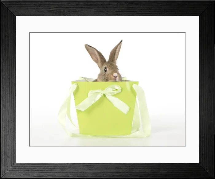 Framed Print : Picture No. 12009505 Framed Print : Picture No. 12009505