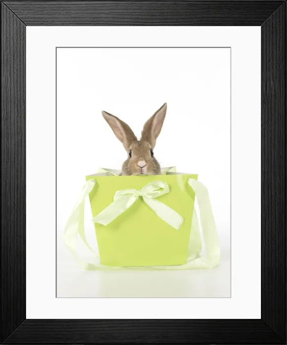 Framed Print : Picture No. 12009506 Framed Print : Picture No. 12009506