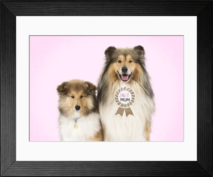 Framed Print : Picture No. 12010284 Framed Print : Picture No. 12010284