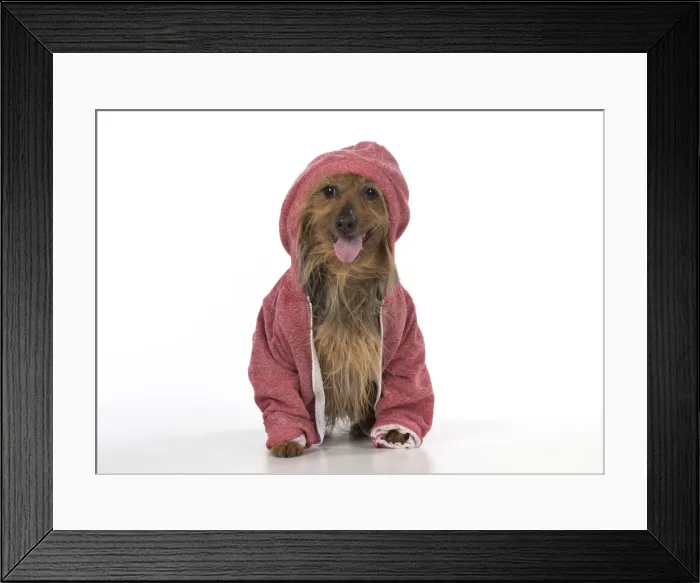 Framed Print : Picture No. 12010308 Framed Print : Picture No. 12010308
