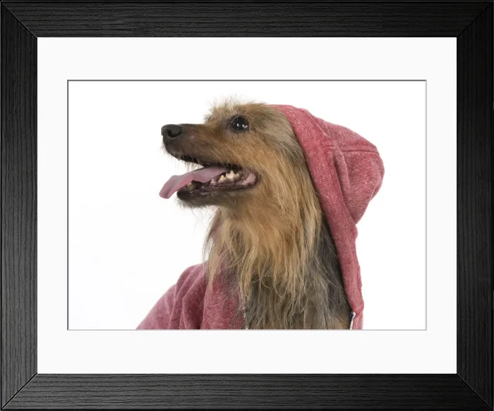Framed Print : Picture No. 12010309 Framed Print : Picture No. 12010309