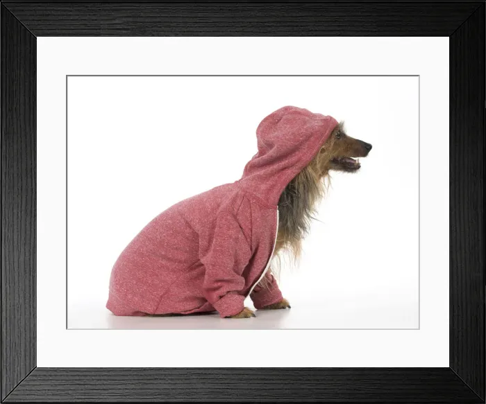 Framed Print : Picture No. 12010310 Framed Print : Picture No. 12010310