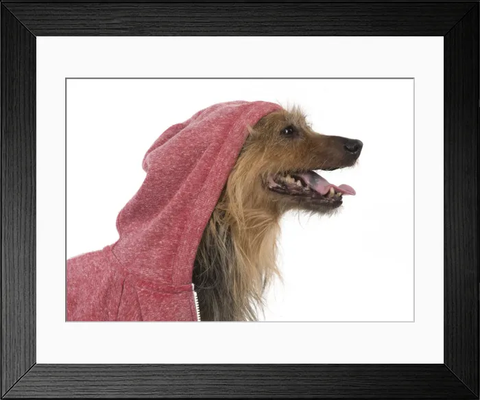 Framed Print : Picture No. 12010311 Framed Print : Picture No. 12010311