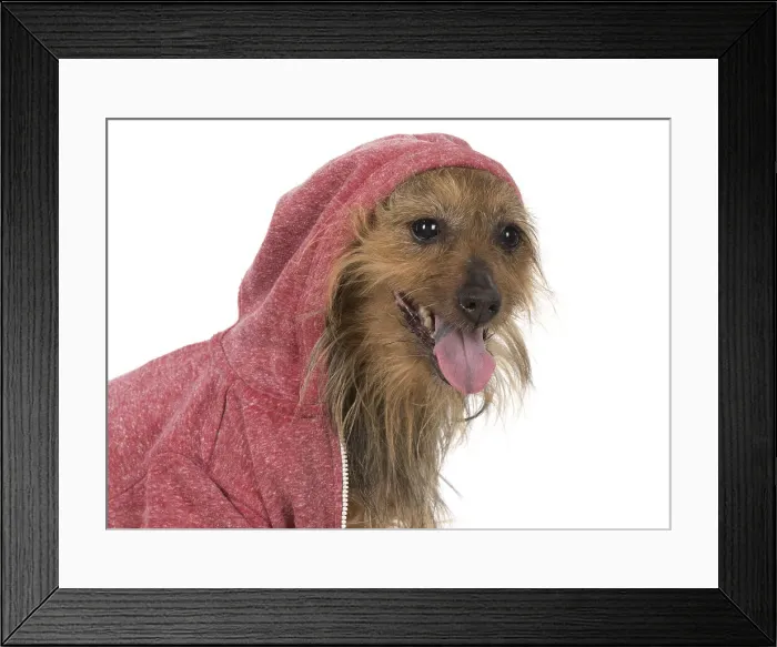 Framed Print : Picture No. 12010312 Framed Print : Picture No. 12010312