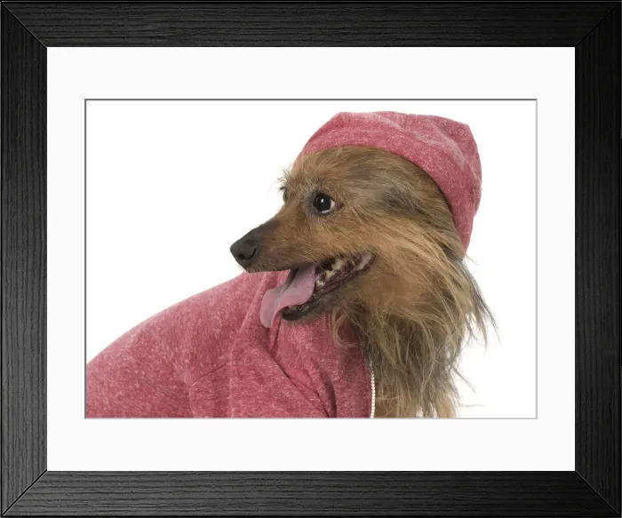 Framed Print : Picture No. 12010313 Framed Print : Picture No. 12010313