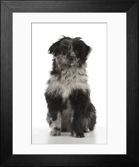 Framed Print : Picture No. 12010316 Framed Print : Picture No. 12010316