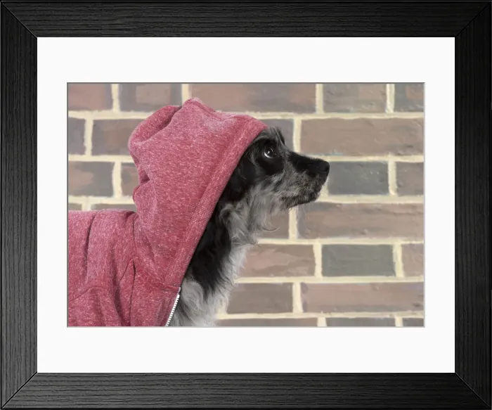 Framed Print : Picture No. 12010320 Framed Print : Picture No. 12010320