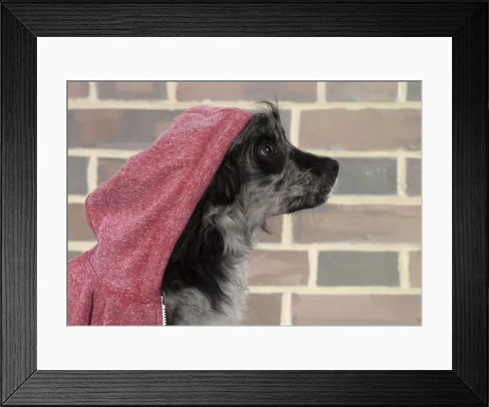 Framed Print : Picture No. 12010321 Framed Print : Picture No. 12010321