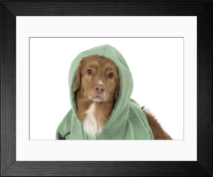Framed Print : Picture No. 12010324 Framed Print : Picture No. 12010324