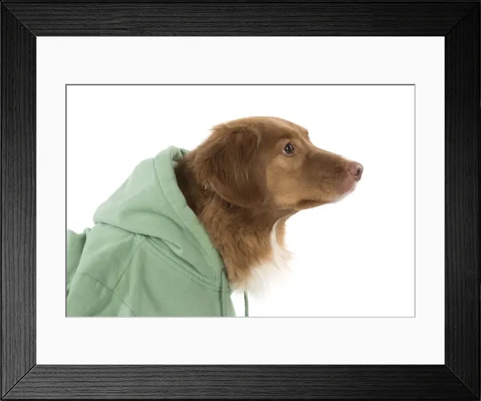 Framed Print : Picture No. 12010325 Framed Print : Picture No. 12010325