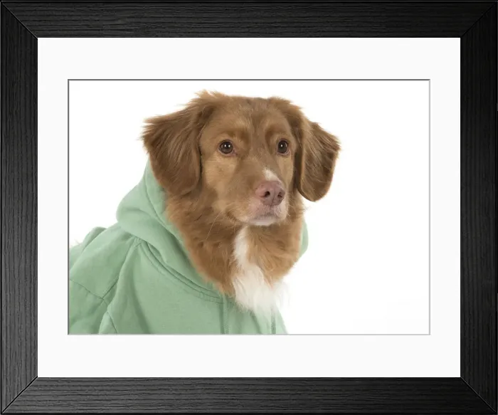Framed Print : Picture No. 12010326 Framed Print : Picture No. 12010326