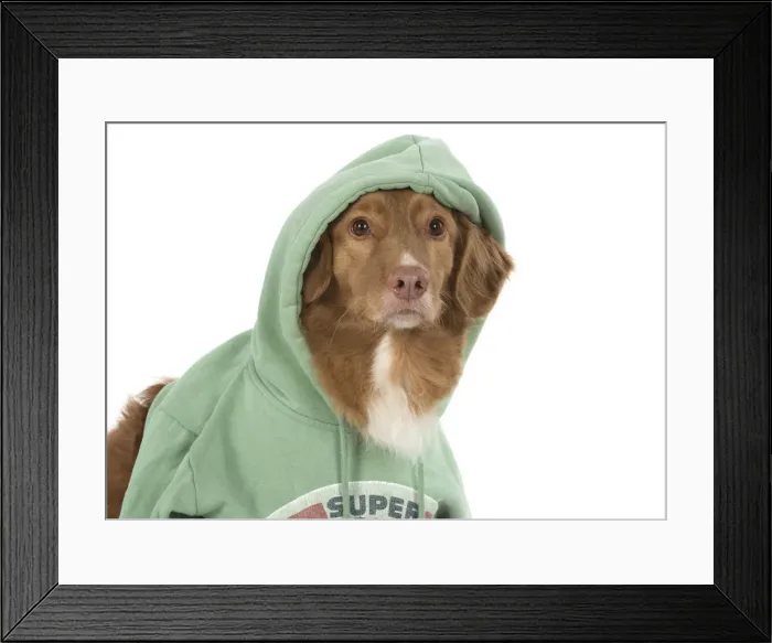Framed Print : Picture No. 12010327 Framed Print : Picture No. 12010327