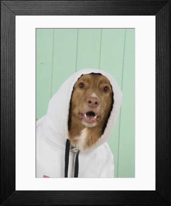Framed Print : Picture No. 12010328 Framed Print : Picture No. 12010328