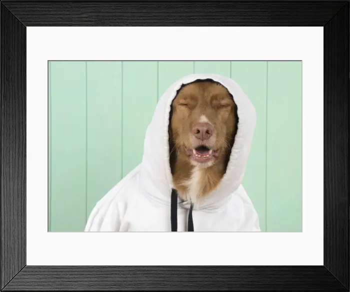 Framed Print : Picture No. 12010329 Framed Print : Picture No. 12010329