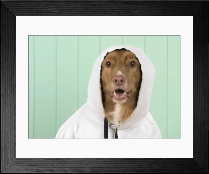 Framed Print : Picture No. 12010330 Framed Print : Picture No. 12010330