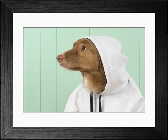 Framed Print : Picture No. 12010331 Framed Print : Picture No. 12010331