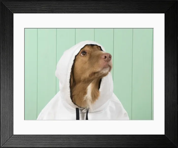 Framed Print : Picture No. 12010332 Framed Print : Picture No. 12010332