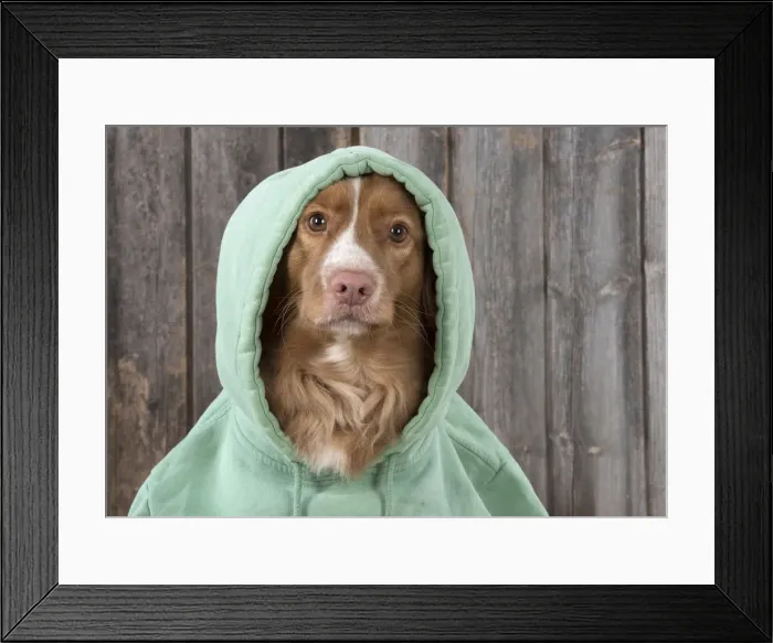 Framed Print : Picture No. 12010333 Framed Print : Picture No. 12010333