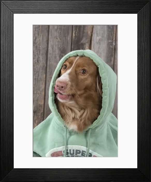 Framed Print : Picture No. 12010334 Framed Print : Picture No. 12010334