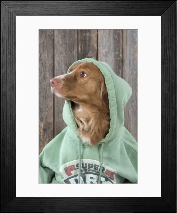 Framed Print : Picture No. 12010335 Framed Print : Picture No. 12010335