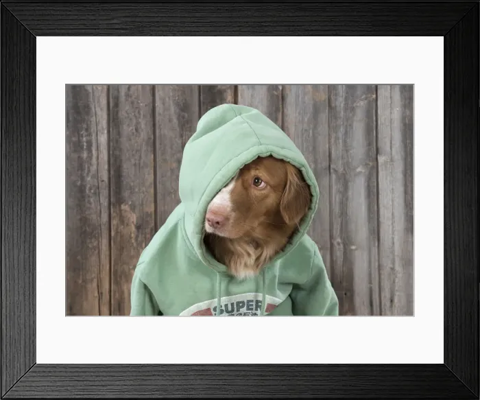Framed Print : Picture No. 12010336 Framed Print : Picture No. 12010336