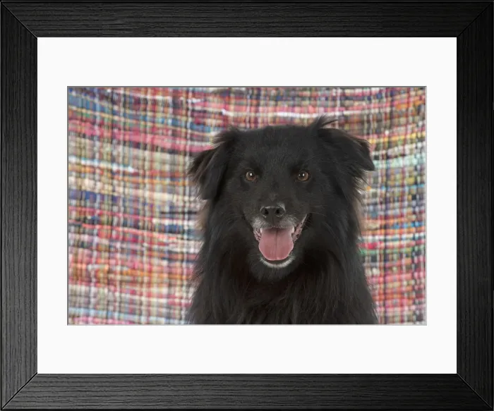 Framed Print : Picture No. 12010338 Framed Print : Picture No. 12010338