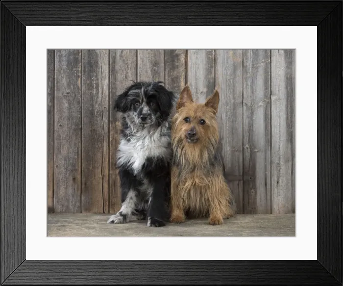 Framed Print : Picture No. 12010337 Framed Print : Picture No. 12010337