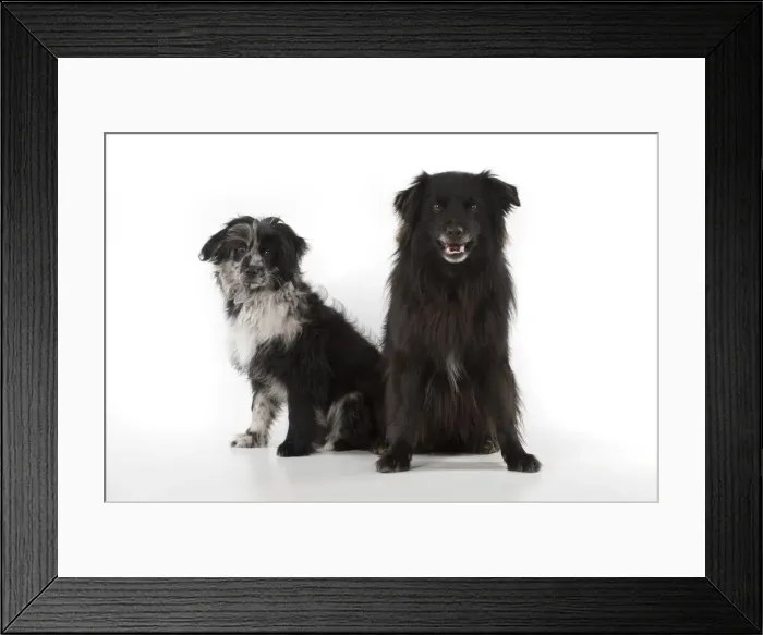 Framed Print : Picture No. 12010340 Framed Print : Picture No. 12010340