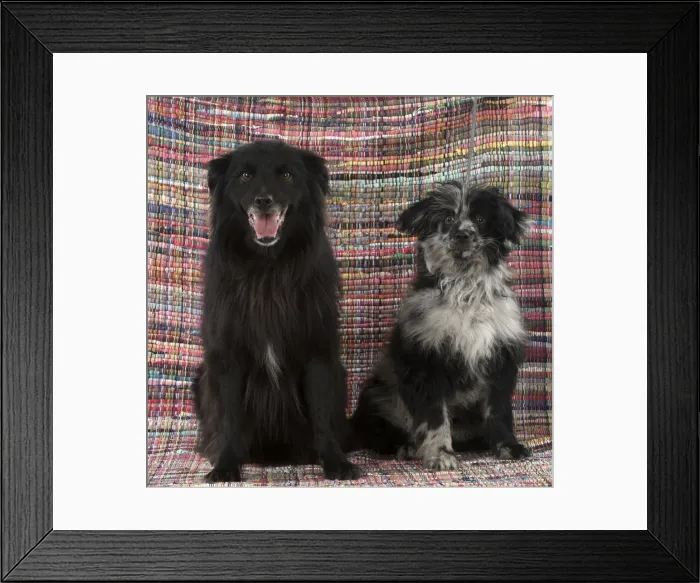 Framed Print : Picture No. 12010339 Framed Print : Picture No. 12010339