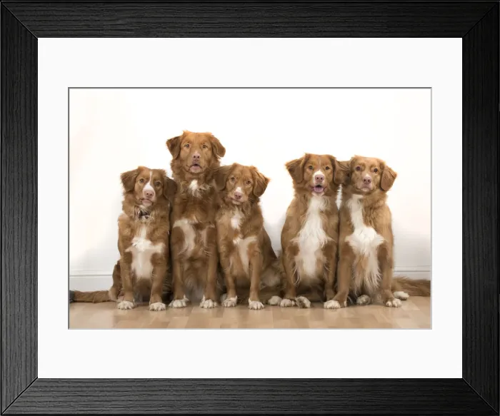 Framed Print : Picture No. 12010341 Framed Print : Picture No. 12010341