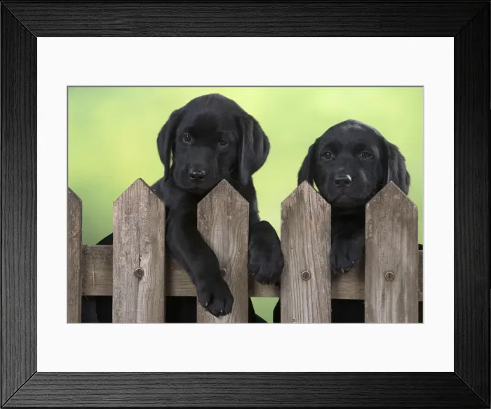 Framed Print : Picture No. 12010357 Framed Print : Picture No. 12010357